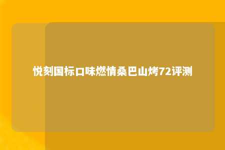 悦刻国标口味燃情桑巴山烤72评测