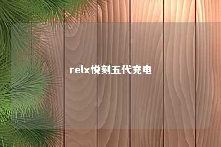 relx悦刻五代充电