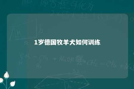 1岁德国牧羊犬如何训练