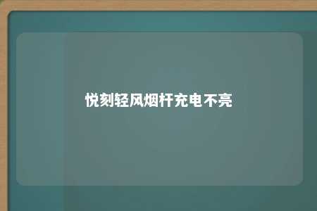 悦刻轻风烟杆充电不亮