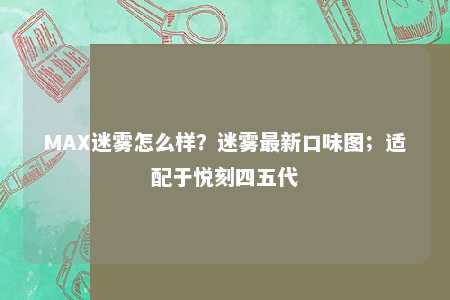 MAX迷雾怎么样？迷雾最新口味图；适配于悦刻四五代